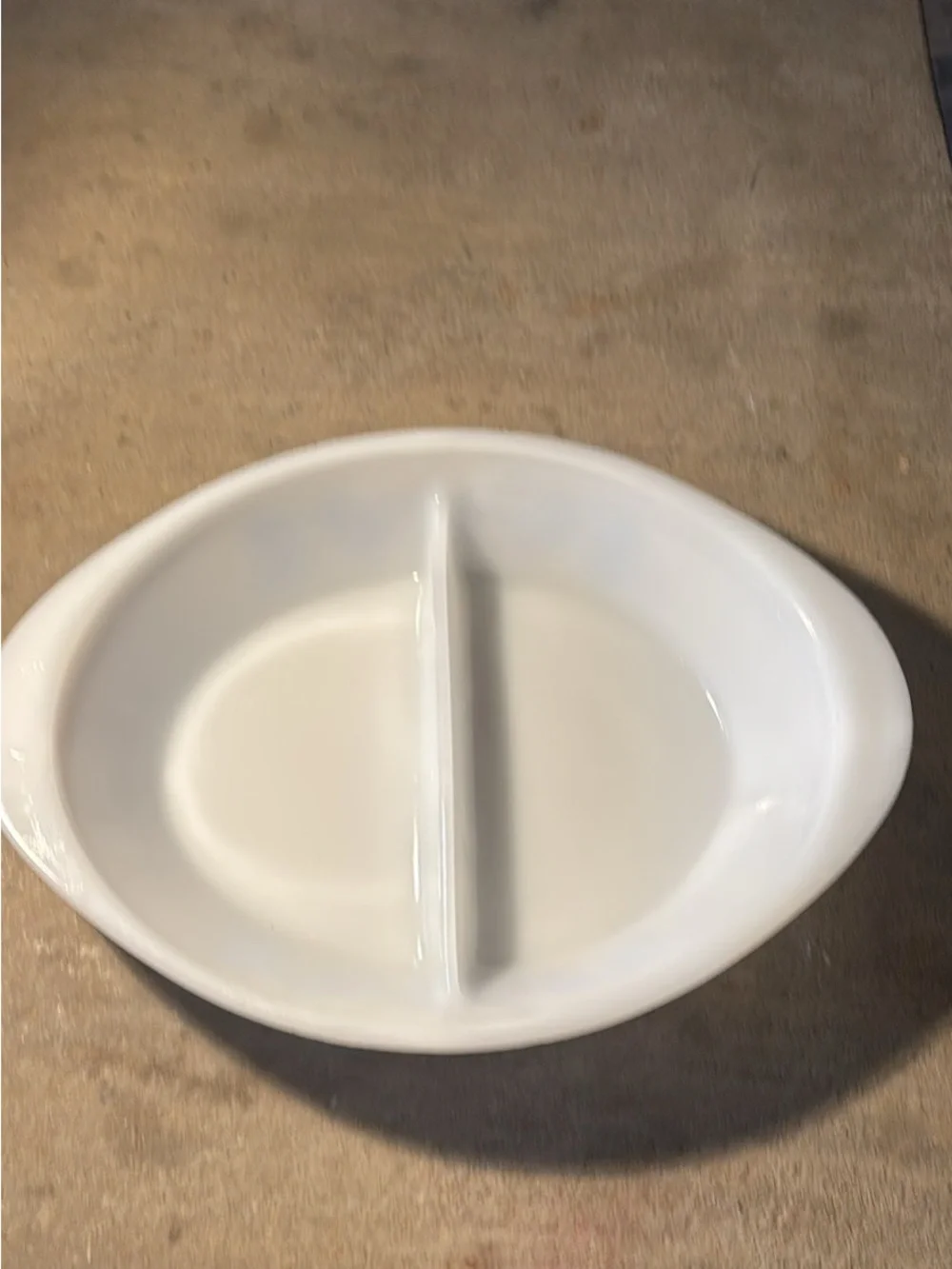 Vintage Glasbake White Divided Serving Dish with Blue Bird Motif